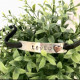 SUEDE MESSAGE BRACELET SUEDE MESSAGE BRACELET