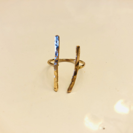 DOUBLE BAR ORGANIC RING GOLD FILLED